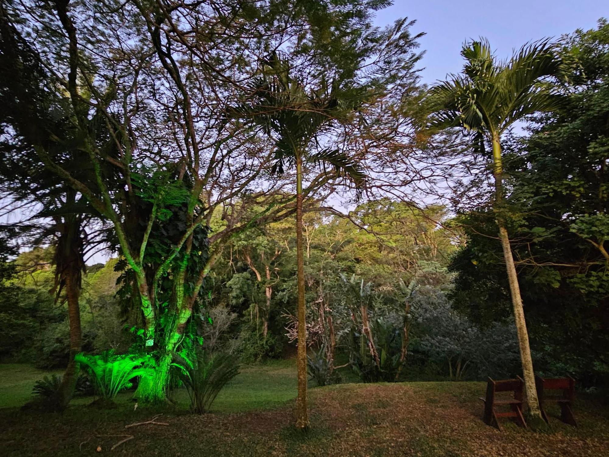 Leopard Tree Lodge Saint Lucia Estuary Kültér fotó